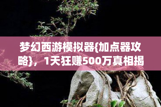 梦幻西游模拟器{加点器攻略},1天狂赚500万真相揭秘 梦幻西游模拟器{加点器攻略},1天狂赚500万真相揭秘