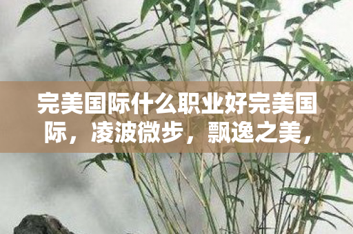 完美国际什么职业好完美国际图片