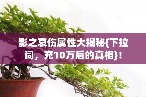 影之哀伤属性大揭秘{下拉词,充10万后的真相}! 影之哀伤属性大揭秘{下拉词,充10万后的真相}!