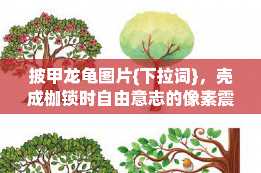披甲龙龟图片{下拉词},壳成枷锁时自由意志的像素震颤 披甲龙龟图片{下拉词},壳成枷锁时自由意志的像素震颤