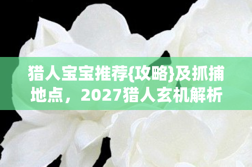 猎人宝宝推荐{攻略}及抓捕地点,2027猎人玄机解析 猎人宝宝推荐{攻略}及抓捕地点,2027猎人玄机解析