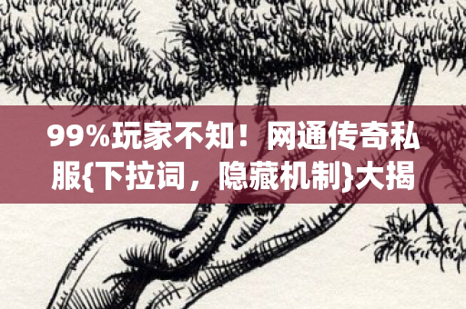 99%玩家不知!网通传奇私服{下拉词,隐藏机制}大揭秘 99%玩家不知!网通传奇私服{下拉词,隐藏机制}大揭秘