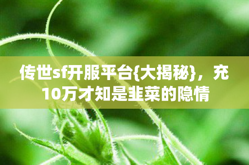 传世sf开服平台{大揭秘},充10万才知是韭菜的隐情 传世sf开服平台{大揭秘},充10万才知是韭菜的隐情