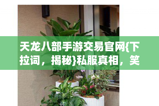 天龙八部手游交易官网图片