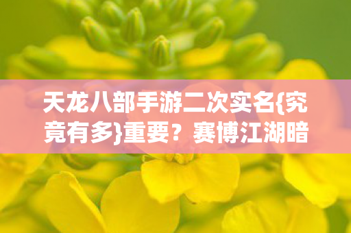 天龙八部手游二次实名图片