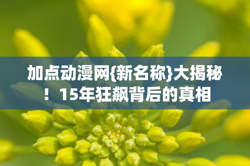 加点动漫网{新名称}大揭秘!15年狂飙背后的真相 加点动漫网{新名称}大揭秘!15年狂飙背后的真相