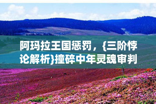 阿玛拉王国惩罚,{三阶悖论解析}撞碎中年灵魂审判天平 阿玛拉王国惩罚,{三阶悖论解析}撞碎中年灵魂审判天平