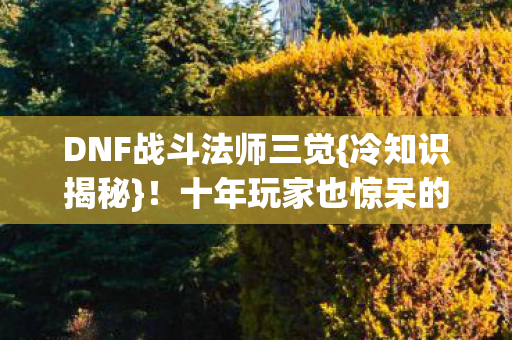 DNF战斗法师三觉{冷知识揭秘}!十年玩家也惊呆的真相 DNF战斗法师三觉{冷知识揭秘}!十年玩家也惊呆的真相