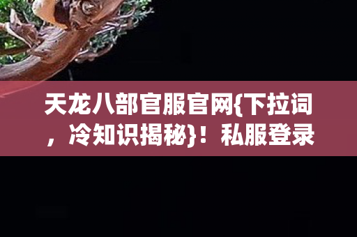 私服登录页藏惊人真相图片
