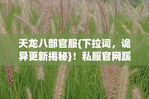 私服官网蹊跷数据引玩家关注图片