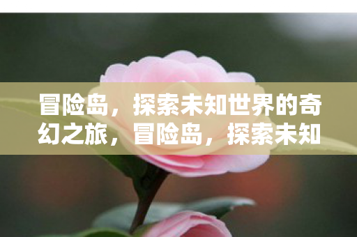 冒险岛,探索未知世界的奇幻之旅,冒险岛,探索未知世界的奇幻之旅 冒险岛,探索未知世界的奇幻之旅,冒险岛,探索未知世界的奇幻之旅