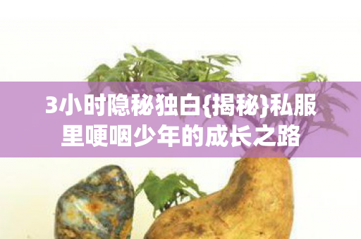 私服里哽咽少年的成长之路图片