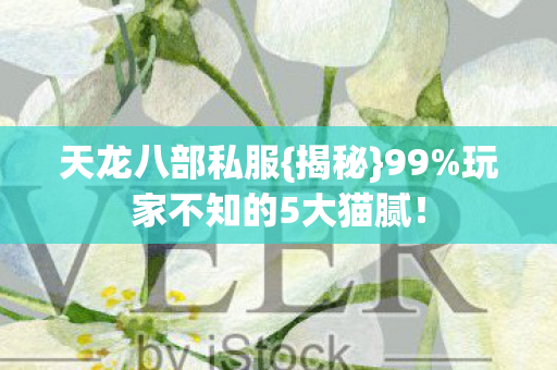 玩家不知的5大猫腻图片