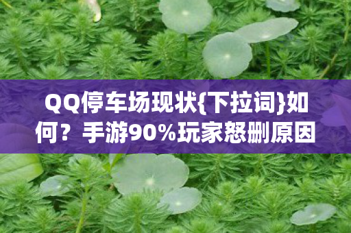 QQ停车场现状{下拉词}如何?手游90%玩家怒删原因揭秘 QQ停车场现状{下拉词}如何?手游90%玩家怒删原因揭秘