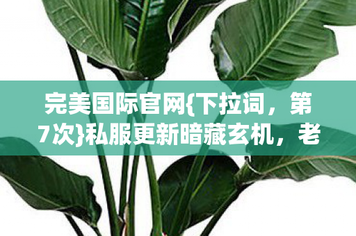 私服更新暗藏玄机图片