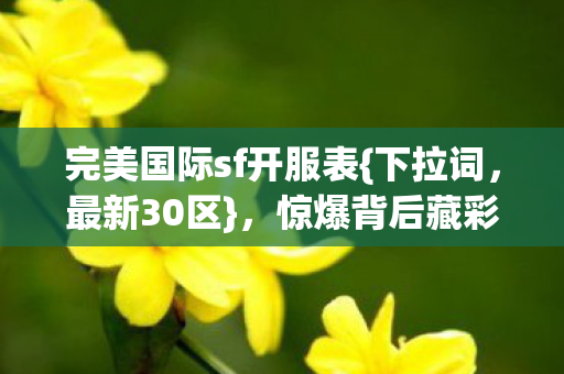 完美国际sf开服表图片