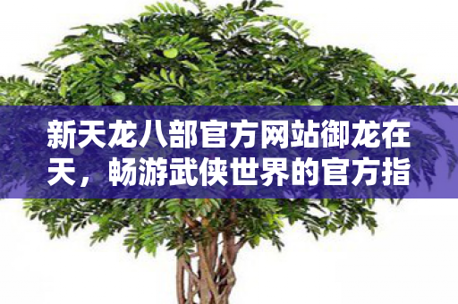 新天龙八部官方网站御龙在天图片