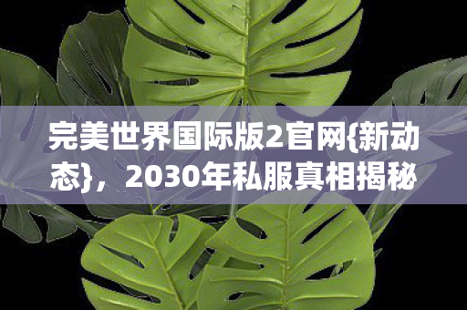 2030年私服真相揭秘图片
