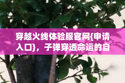 穿越火线体验服官网{申请入口}，子弹穿透命运的自由之问