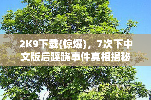 2K9下载{惊爆},7次下中文版后蹊跷事件真相揭秘 2K9下载{惊爆},7次下中文版后蹊跷事件真相揭秘