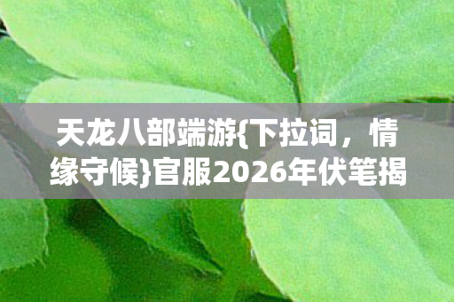 官服2026年伏笔揭秘图片