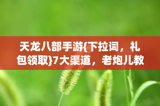 天龙八部手游图片