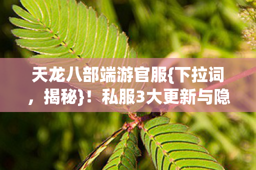 私服3大更新与隐藏彩蛋图片