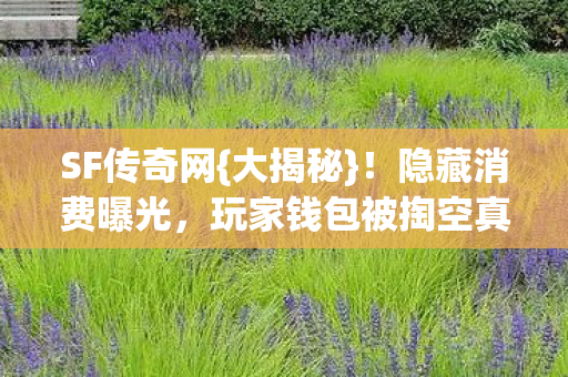 SF传奇网{大揭秘}!隐藏消费曝光,玩家钱包被掏空真相 SF传奇网{大揭秘}!隐藏消费曝光,玩家钱包被掏空真相