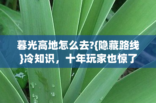 暮光高地怎么去?{隐藏路线}冷知识,十年玩家也惊了 暮光高地怎么去?{隐藏路线}冷知识,十年玩家也惊了