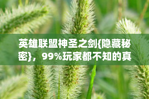 英雄联盟神圣之剑{隐藏秘密},99%玩家都不知的真相! 英雄联盟神圣之剑{隐藏秘密},99%玩家都不知的真相!
