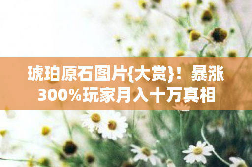 琥珀原石图片{大赏}!暴涨300%玩家月入十万真相 琥珀原石图片{大赏}!暴涨300%玩家月入十万真相