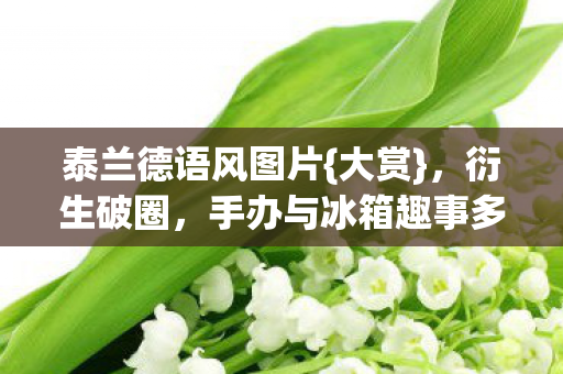 泰兰德语风图片{大赏}，衍生破圈，手办与冰箱趣事多