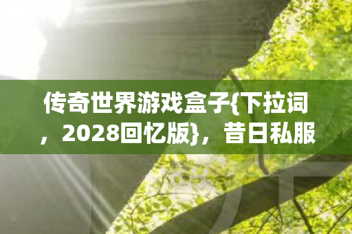 传奇世界游戏盒子{下拉词，2028回忆版}，昔日私服今只剩感慨