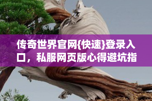 私服网页版心得避坑指南图片