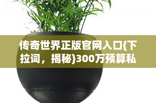 传奇世界正版官网入口{下拉词,揭秘}300万预算私服隐情 传奇世界正版官网入口{下拉词,揭秘}300万预算私服隐情