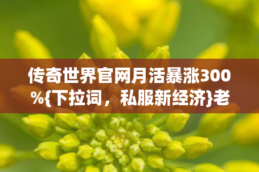 传奇世界官网月活暴涨300%{下拉词,私服新经济}老玩家泪目 传奇世界官网月活暴涨300%{下拉词,私服新经济}老玩家泪目