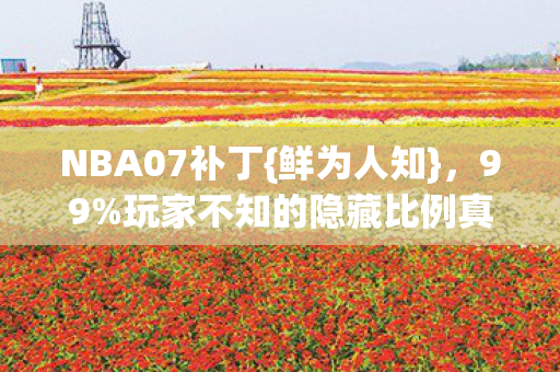 NBA07补丁{鲜为人知}，99%玩家不知的隐藏比例真相