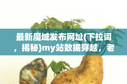最新魔域发布网址图片
