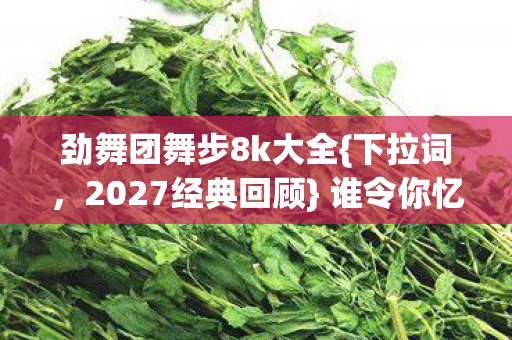 劲舞团舞步8k大全{下拉词,2027经典回顾} 谁令你忆起旧时光? 劲舞团舞步8k大全{下拉词,2027经典回顾} 谁令你忆起旧时光?