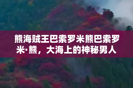 熊海贼王巴索罗米熊巴索罗米图片