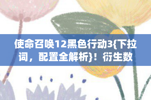 使命召唤12黑色行动3{下拉词，配置全解析}！衍生数破圈之旅