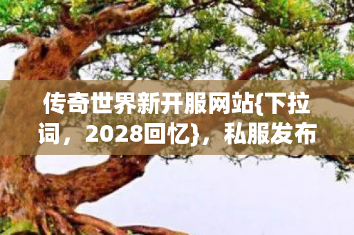 传奇世界新开服网站{下拉词，2028回忆}，私服发布网藏未说再见