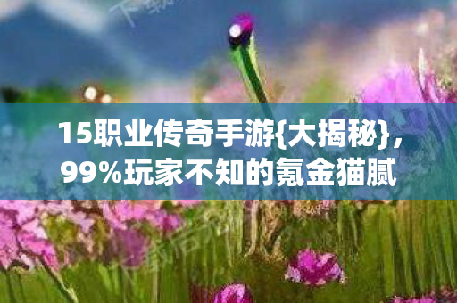 15职业传奇手游{大揭秘}，99%玩家不知的氪金猫腻