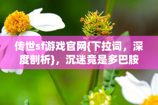 传世sf游戏官网{下拉词，深度剖析}，沉迷竟是多巴胺作祟？