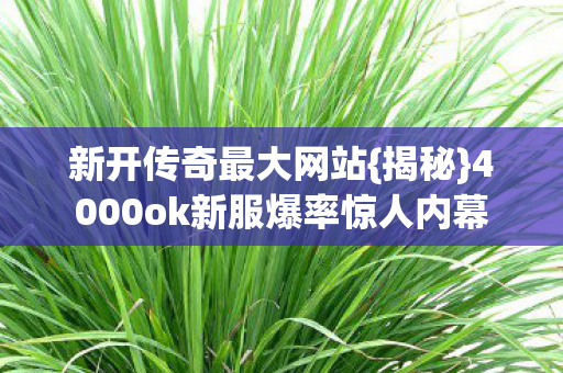 新开传奇最大网站{揭秘}4000ok新服爆率惊人内幕 新开传奇最大网站{揭秘}4000ok新服爆率惊人内幕