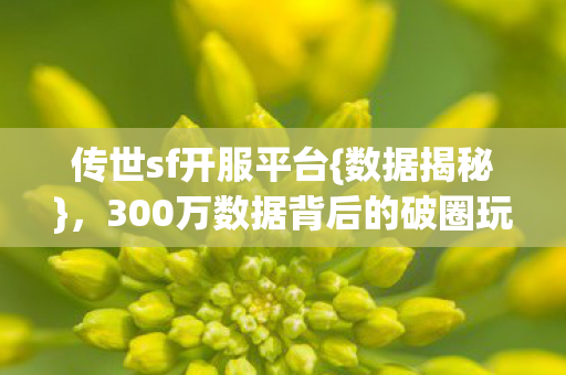传世sf开服平台{数据揭秘}，300万数据背后的破圈玩法