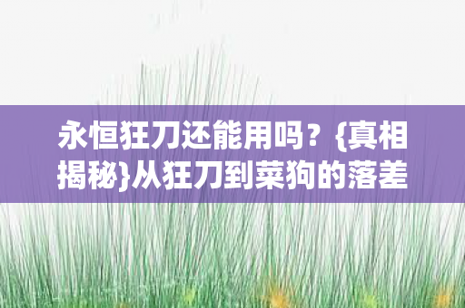 永恒狂刀还能用吗？{真相揭秘}从狂刀到菜狗的落差