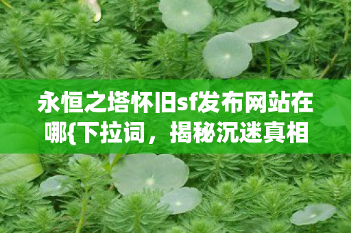 永恒之塔怀旧sf发布网站在哪{下拉词，揭秘沉迷真相}