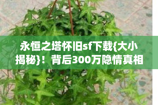 永恒之塔怀旧sf下载{大小揭秘}!背后300万隐情真相 永恒之塔怀旧sf下载{大小揭秘}!背后300万隐情真相