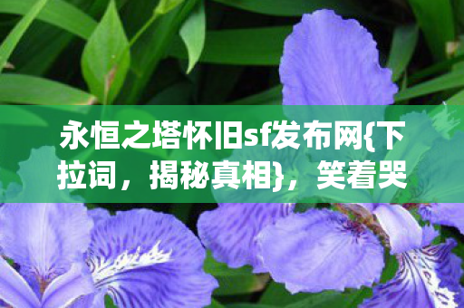 永恒之塔怀旧sf发布网图片
